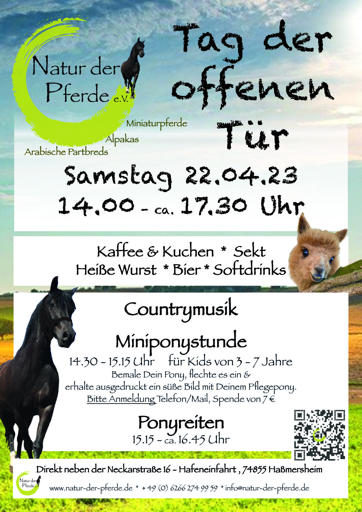 Anzeige Natur der Pferde